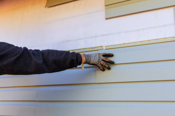 Best Siding for New Construction  in Rancho Alegre, TX